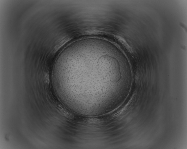 X0000093111209200710171215