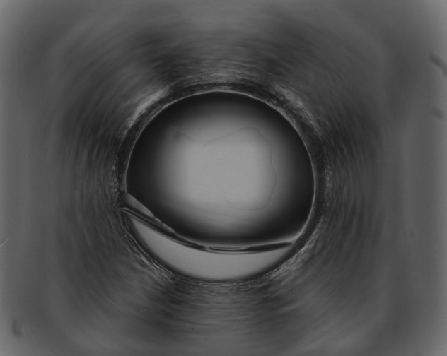 X0000093111210200710171215