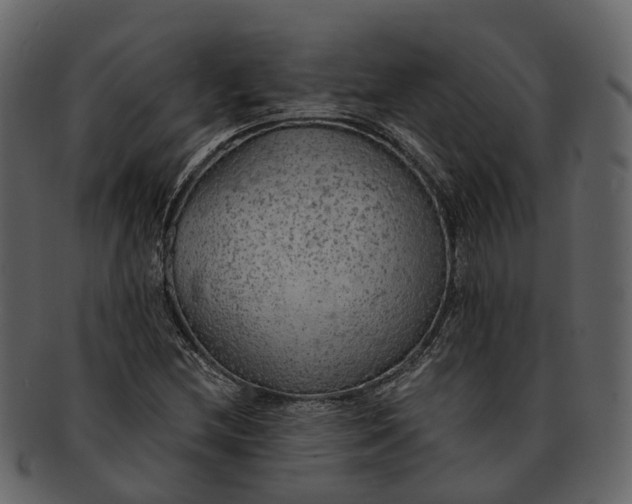 X0000093111212200710171215