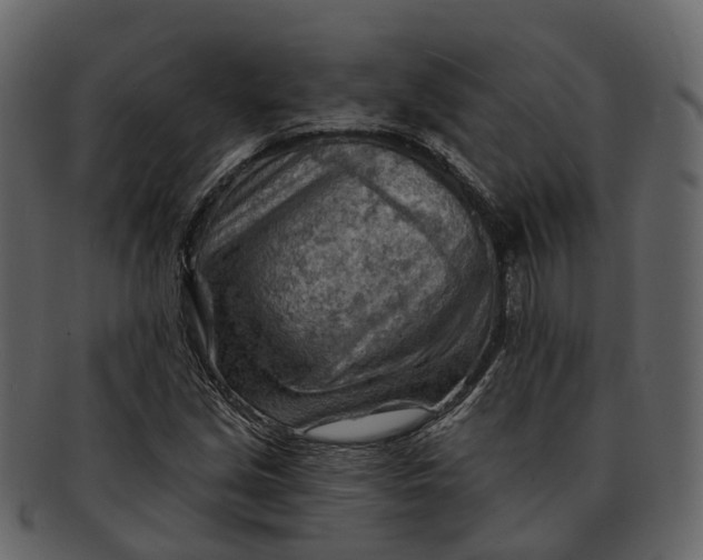 X0000093111213200710171215