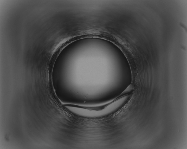 X0000093111214200710171215