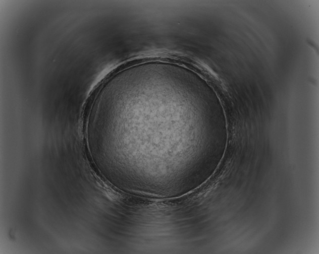 X0000093111216200710171215