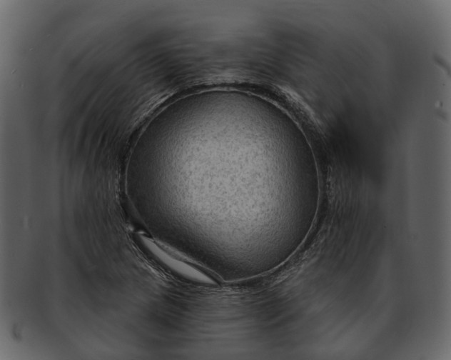 X0000093111217200710171215