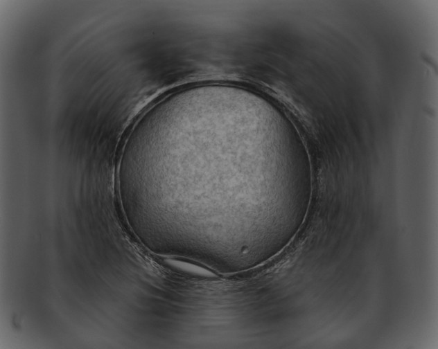 X0000093111220200710171215