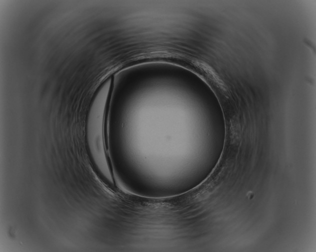 X0000093111225200710171216