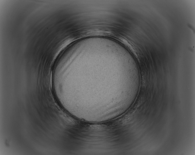 X0000093111227200710171216