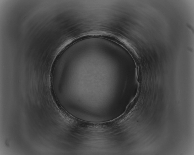 X0000093111229200710171216