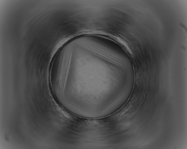 X0000093111231200710171216