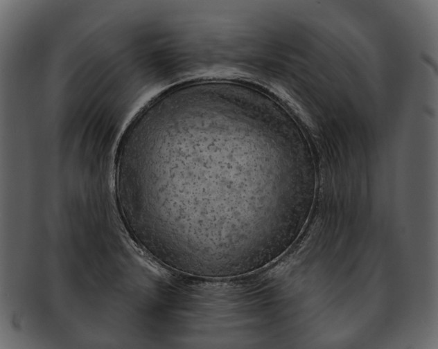 X0000093111232200710171216