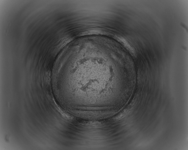 X0000093111233200710171216