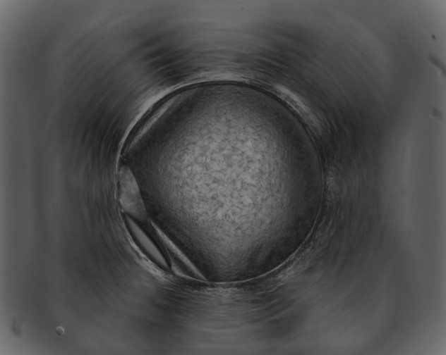 X0000093111236200710171216