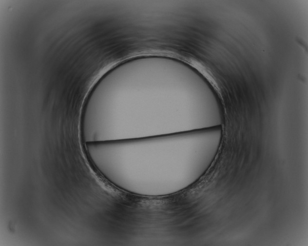 X0000093111237200710171216