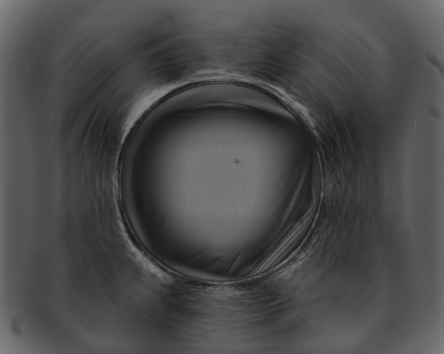 X0000093111239200710171216