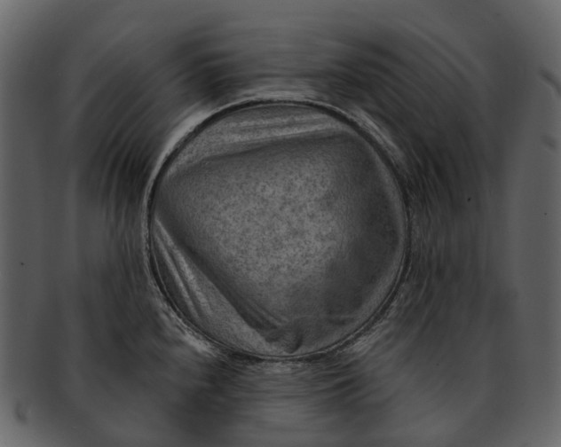 X0000093111240200710171216