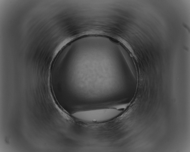 X0000093111245200710171216