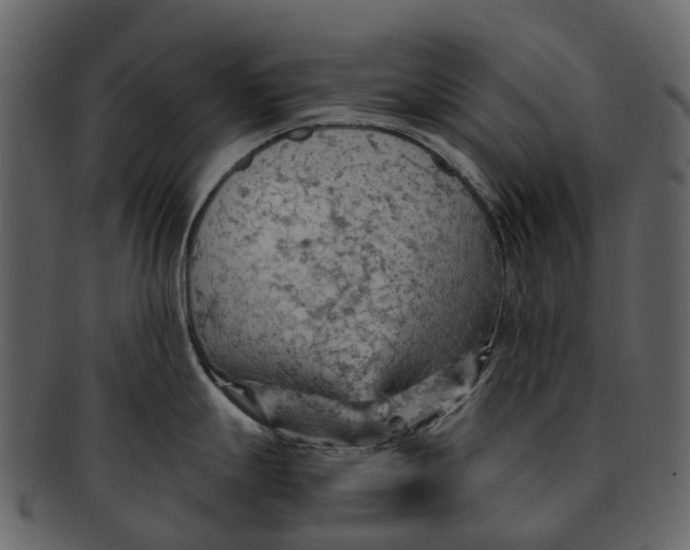 X0000093111247200710171216