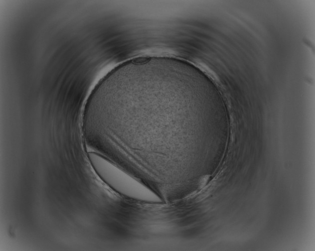 X0000093111248200710171216