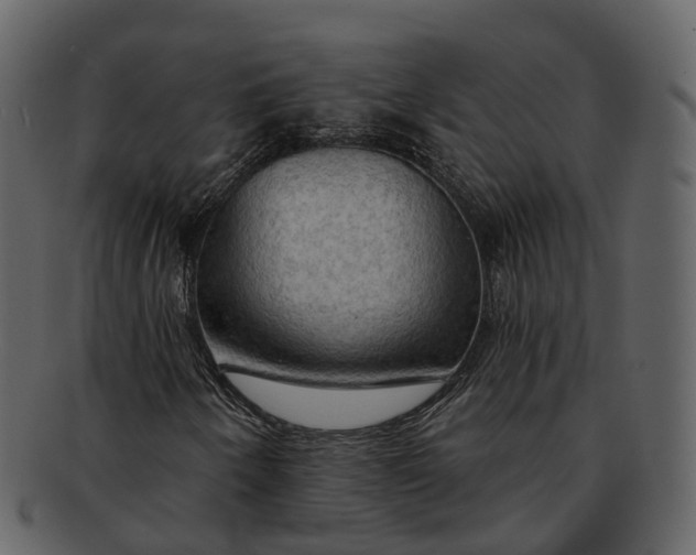 X0000093111250200710171215