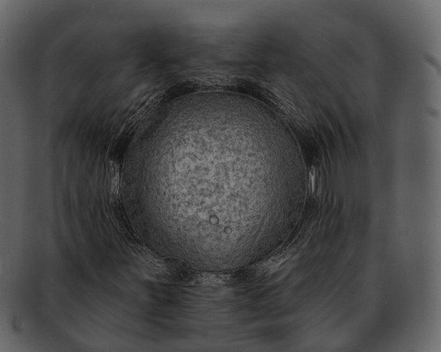 X0000093111251200710171215