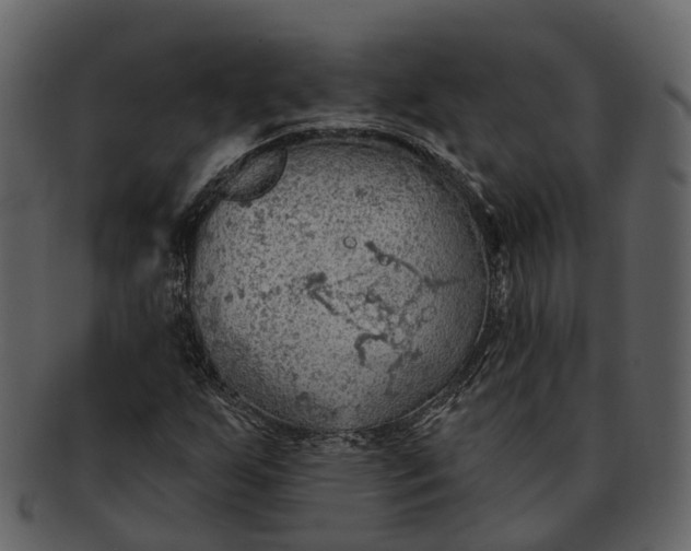 X0000093111255200710171215