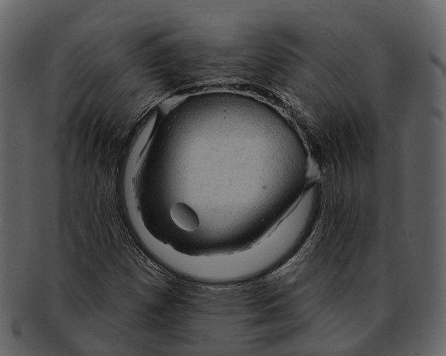 X0000093111257200710171215