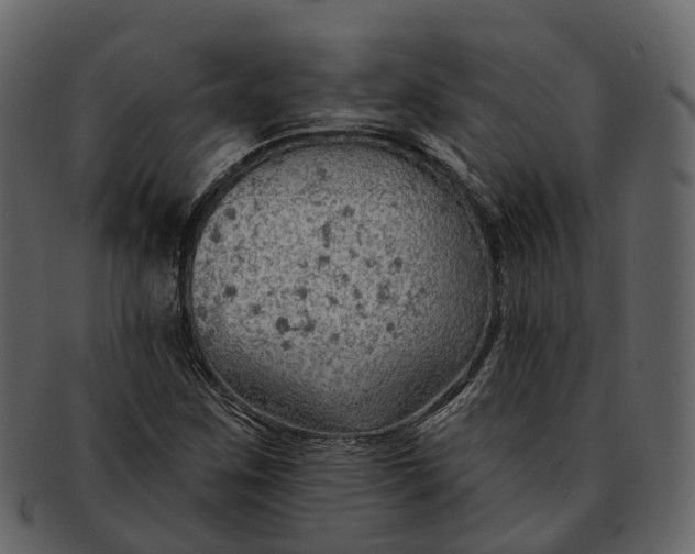 X0000093111259200710171215