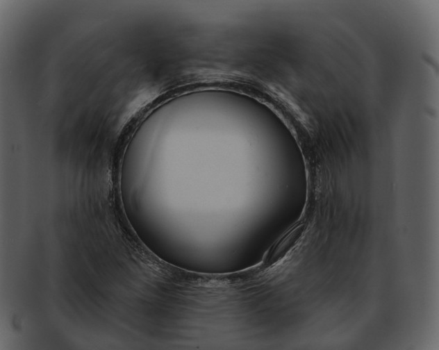 X0000093111261200710171215