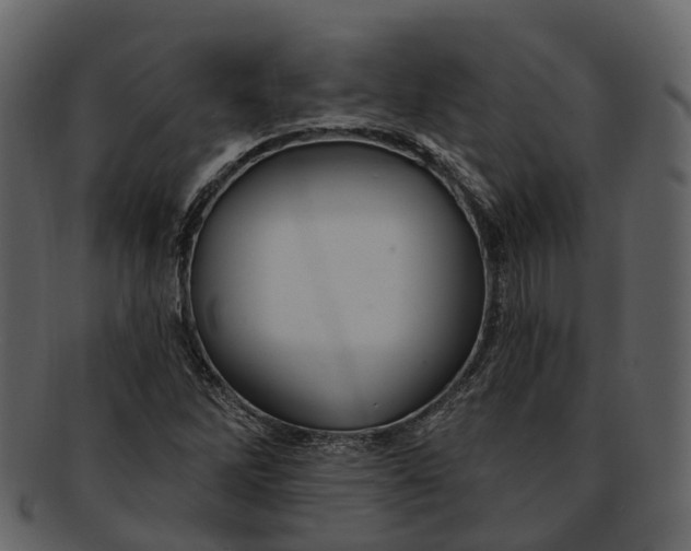 X0000093111262200710171215