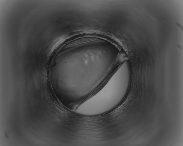 X0000093111263200710171215