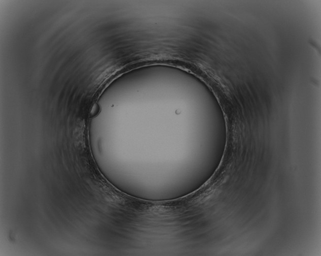 X0000093111265200710171215