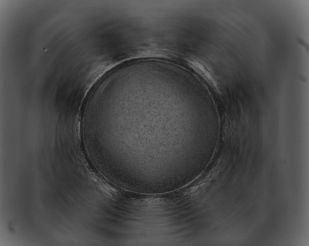 X0000093111268200710171215