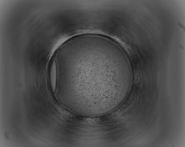 X0000093111271200710171215