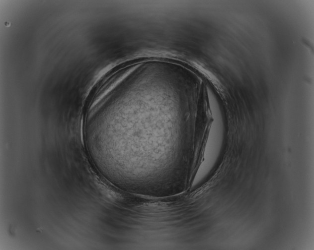 X0000093111272200710171215