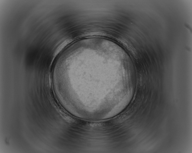 X0000093111274200710171215