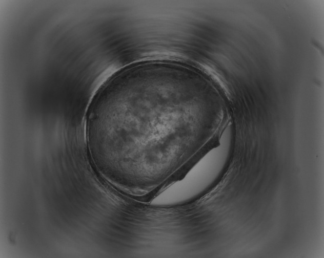 X0000093111275200710171215