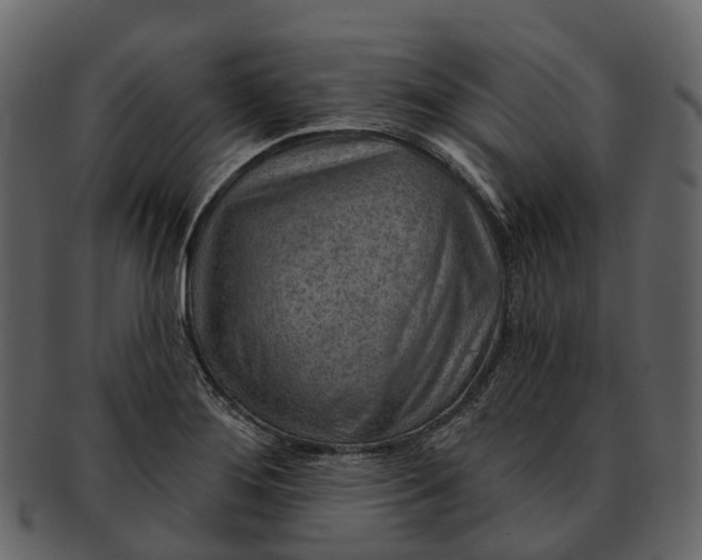 X0000093111276200710171215