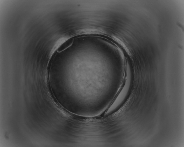 X0000093111277200710171215