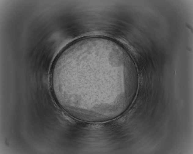 X0000093111278200710171215