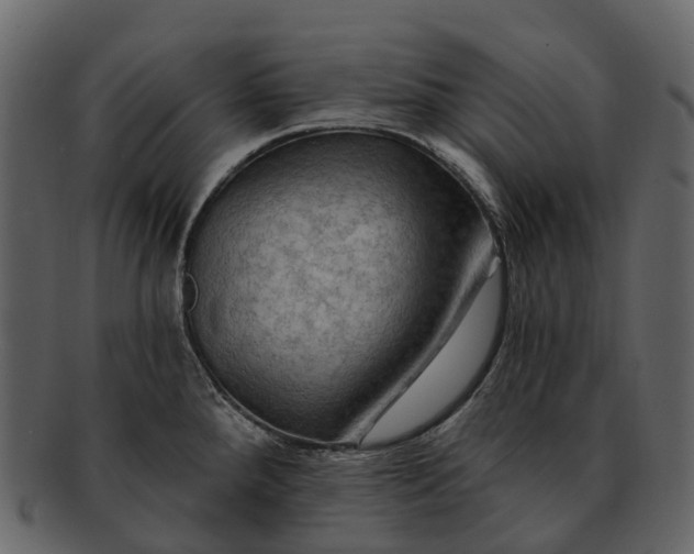 X0000093111288200710171214