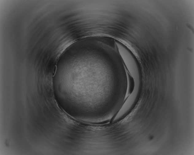 X0000093111289200710171214