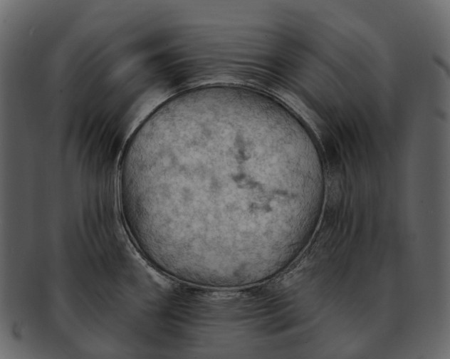 X0000093111290200710171214