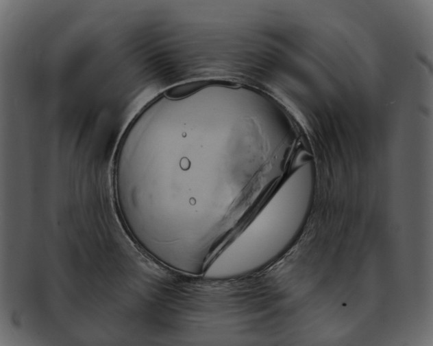 X0000093111291200710171214