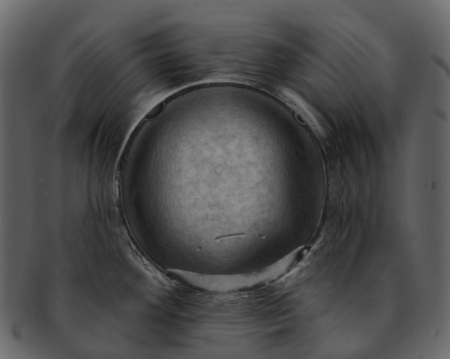 X0000093111292200710171214