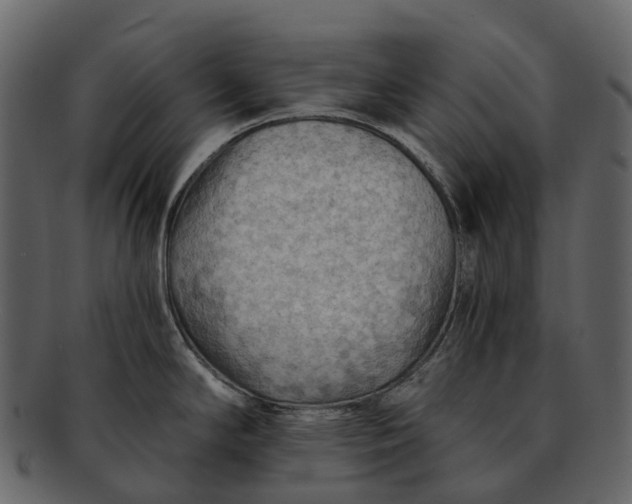 X0000093111294200710171214