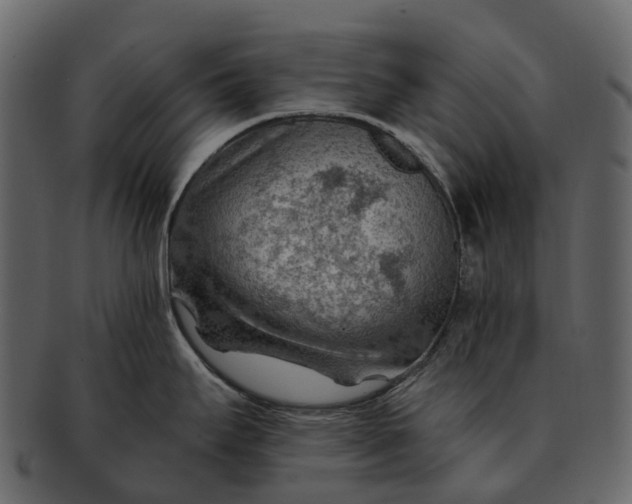 X0000093111295200710171214