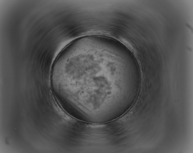 X0000093111296200710171214