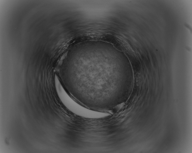 X0000093111298200710171214