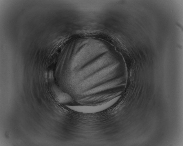 X0000093111300200710171214