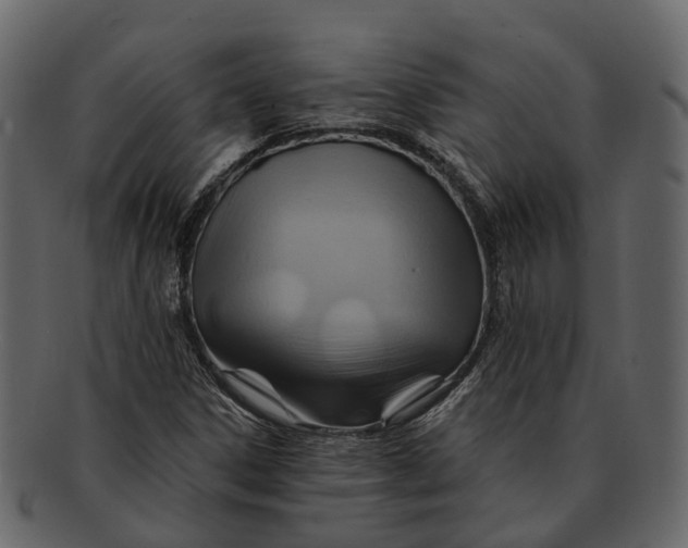 X0000093111306200710171214