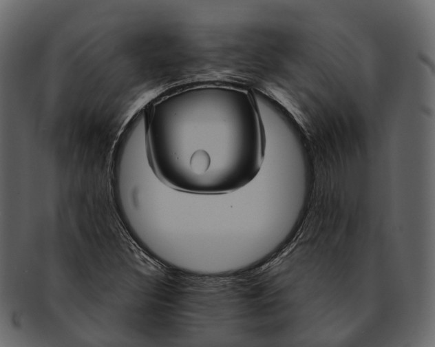 X0000093111308200710171214